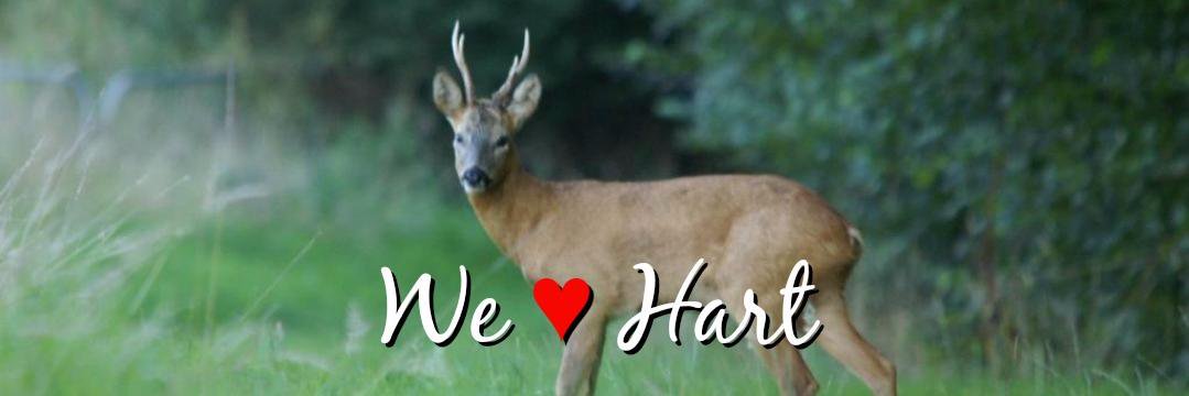 WeHeartHart's profile banner image