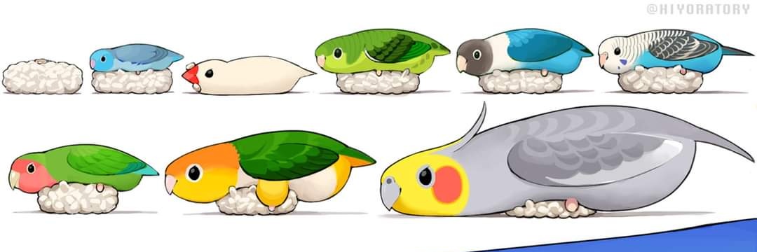 rochapedro1's profile banner image