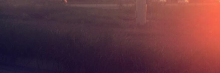peterolguin745's profile banner image