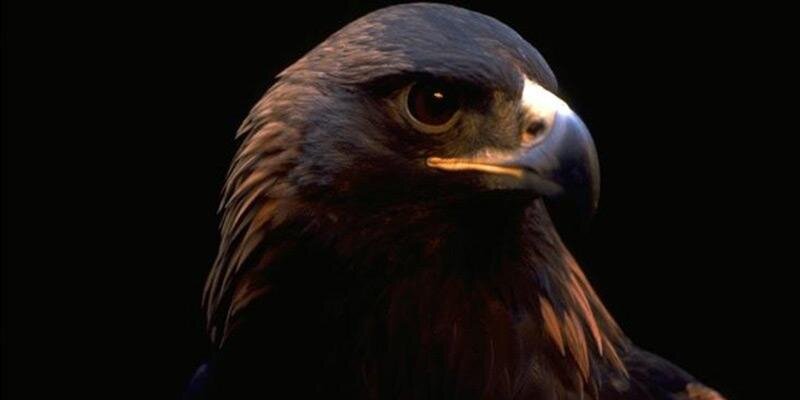Cump1962's profile banner image