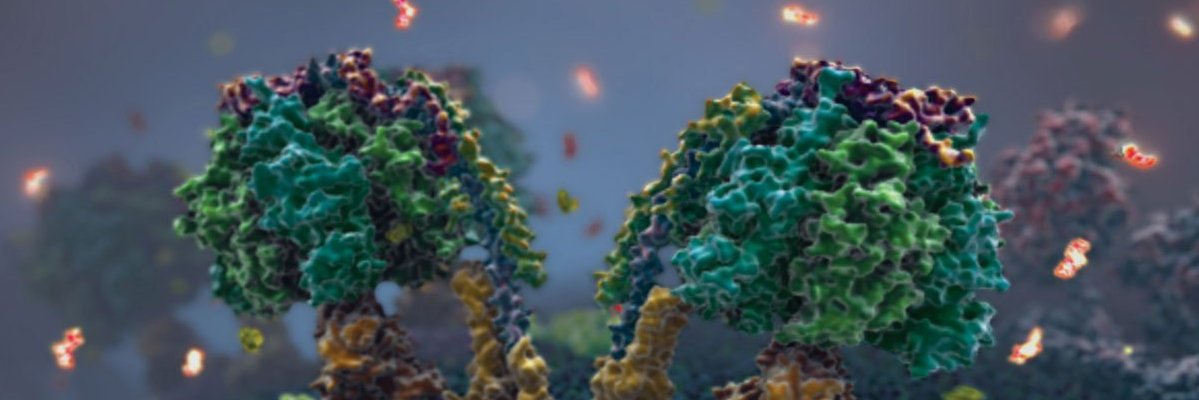 FFratev's profile banner image