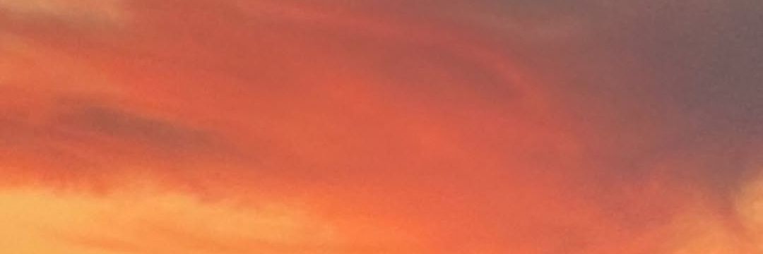 thaisinha banner