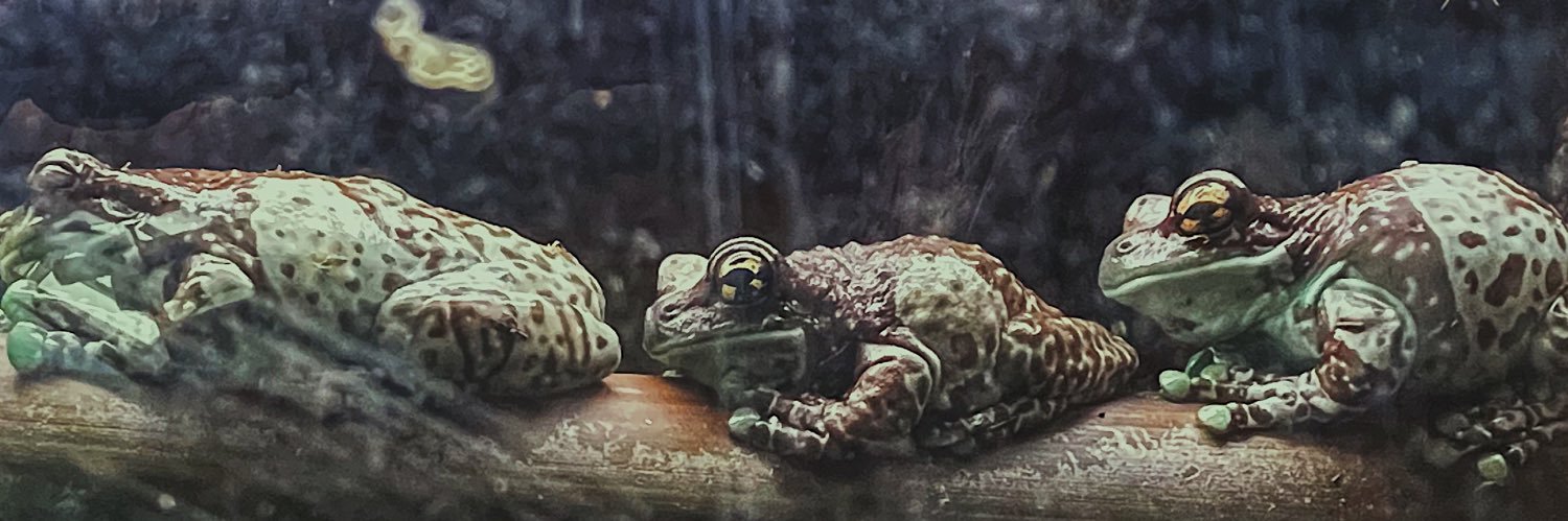 wallerickj's profile banner image