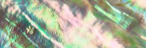 negative_knows's profile banner image
