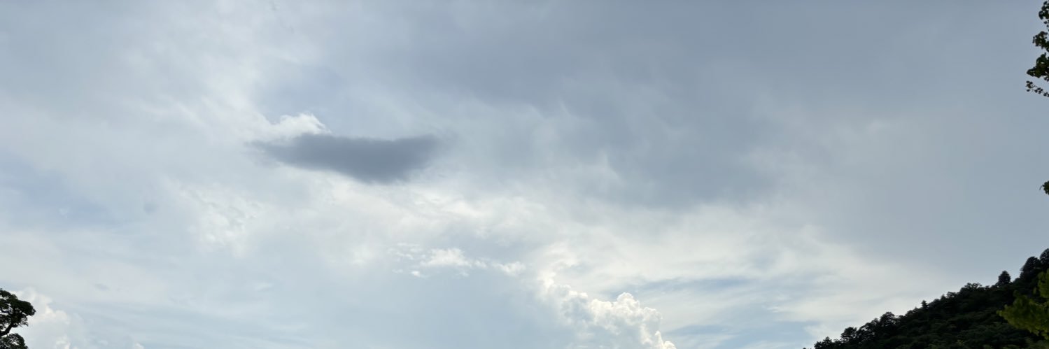 217_anchan's profile banner image