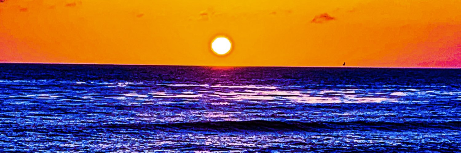 Sara_Gorman's profile banner image