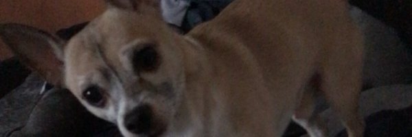 Fonze1985 Profile Banner