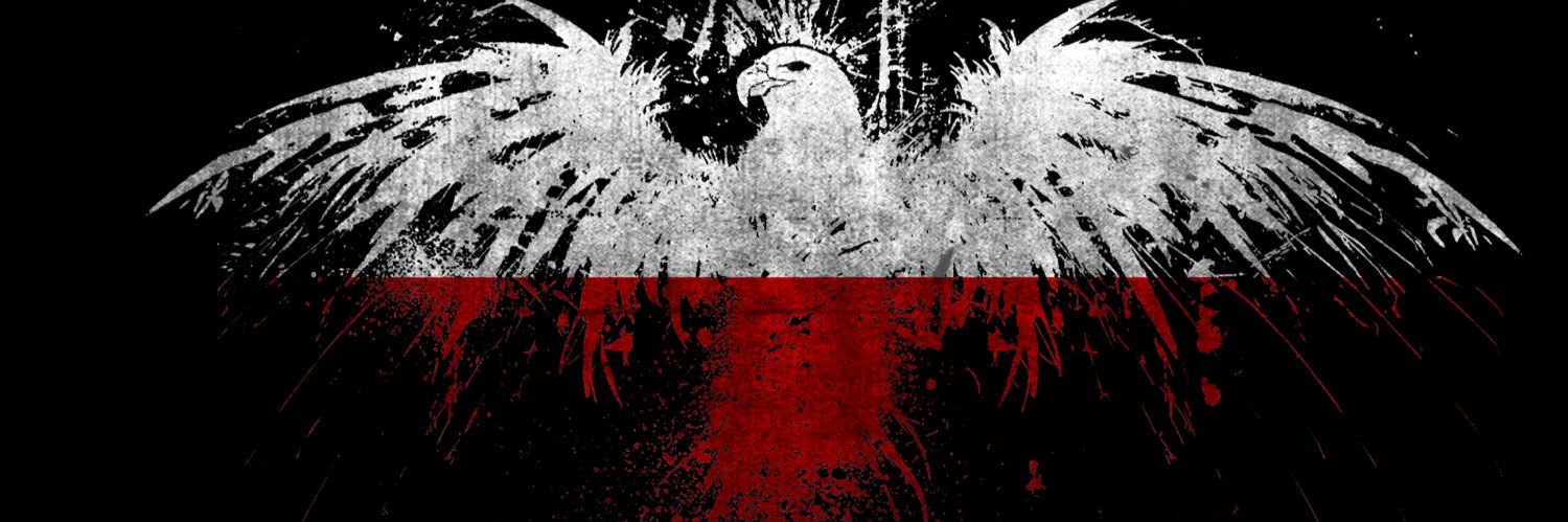poLskax89's profile banner image