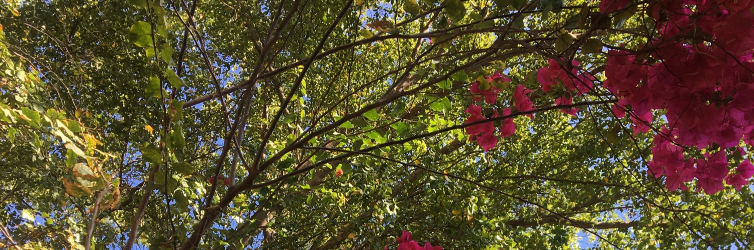 Zoi_Andreina's profile banner image
