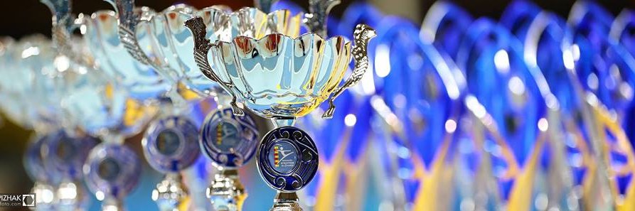 Federación Aragonesa de Gimnasia banner