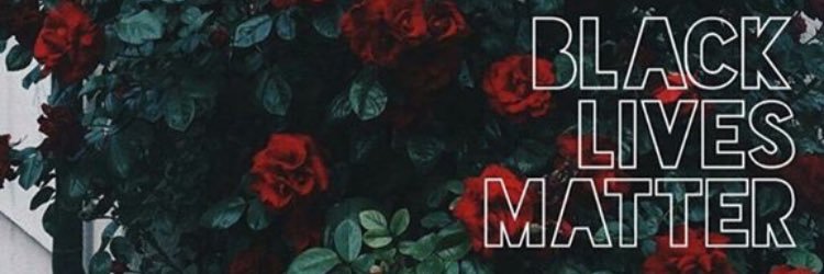 VaVaVante's profile banner image