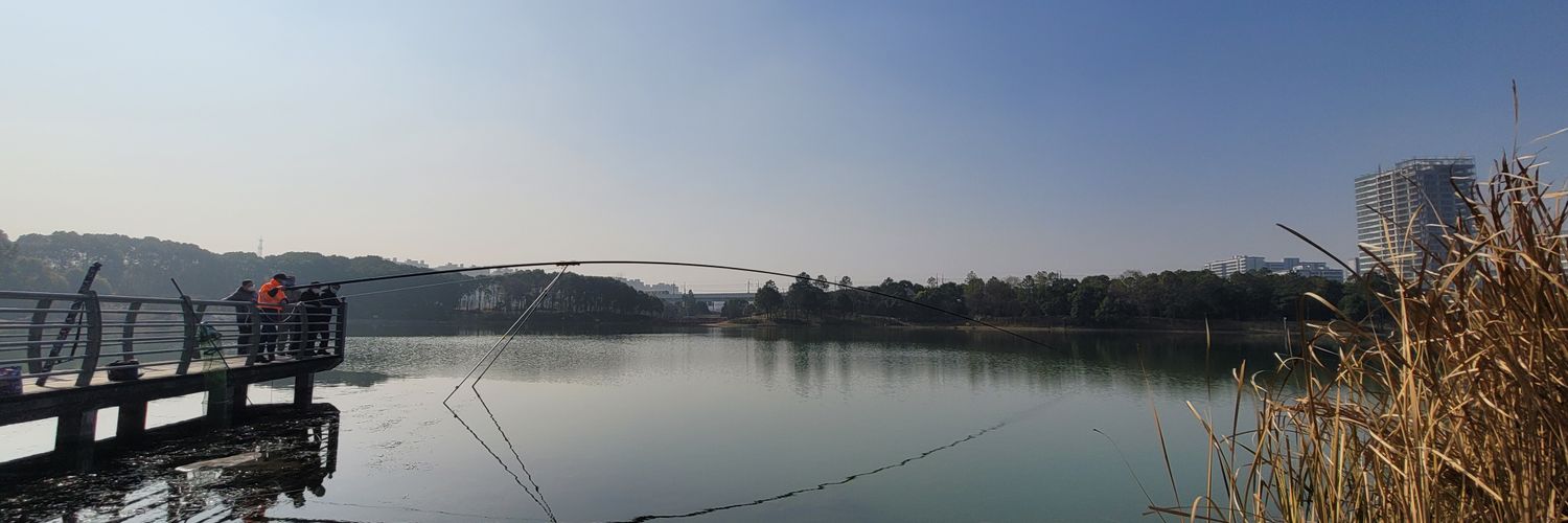 zhanglei_walker's profile banner image
