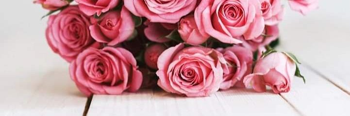 studu_mo's profile banner image