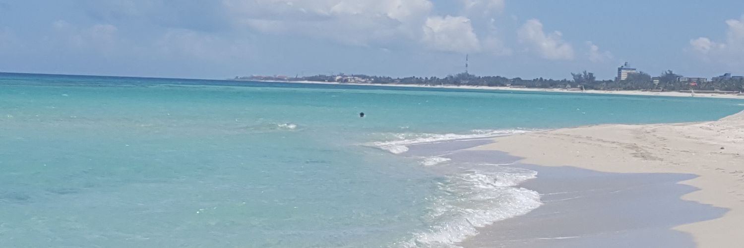 AllThatIsLeft's profile banner image