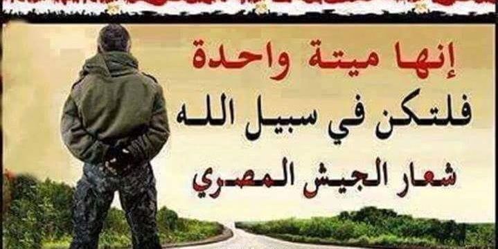 monaelbialy's profile banner image