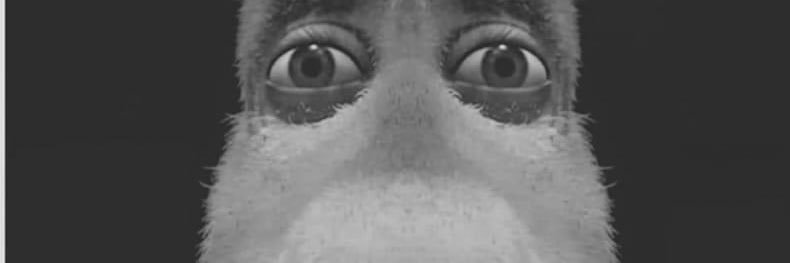 luisbadboy11's profile banner image