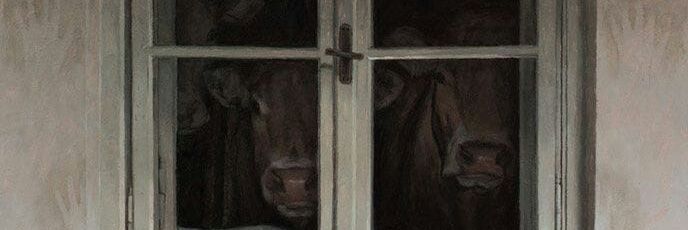 TbITynou's profile banner image