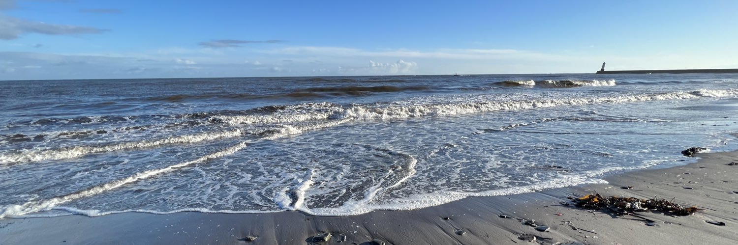 rose in the north 💚☘️💚 banner