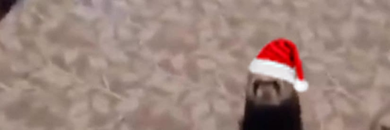 pepsiweasel.bsky.social banner