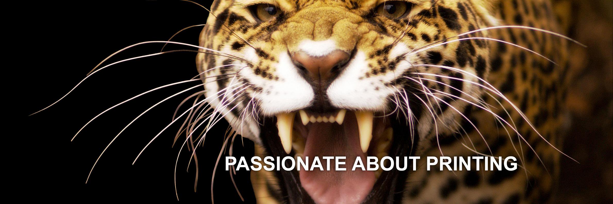 DMLdigital's profile banner image