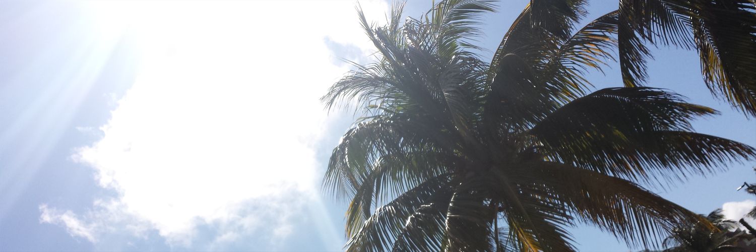 A_NaturalMystic's profile banner image