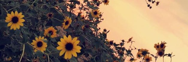christapilgrim7's profile banner image