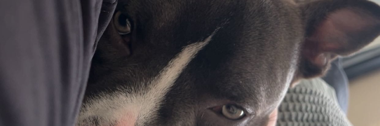 saigep_22's profile banner image