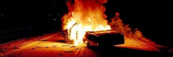 1312_mothman's profile banner image