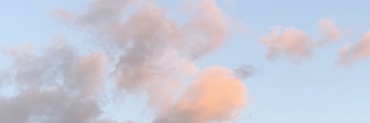 blance_daisy's profile banner image