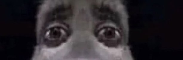 wackboydeewok's profile banner image