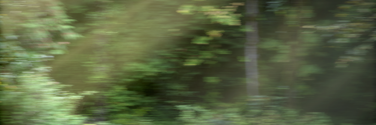 TheHare's profile banner image