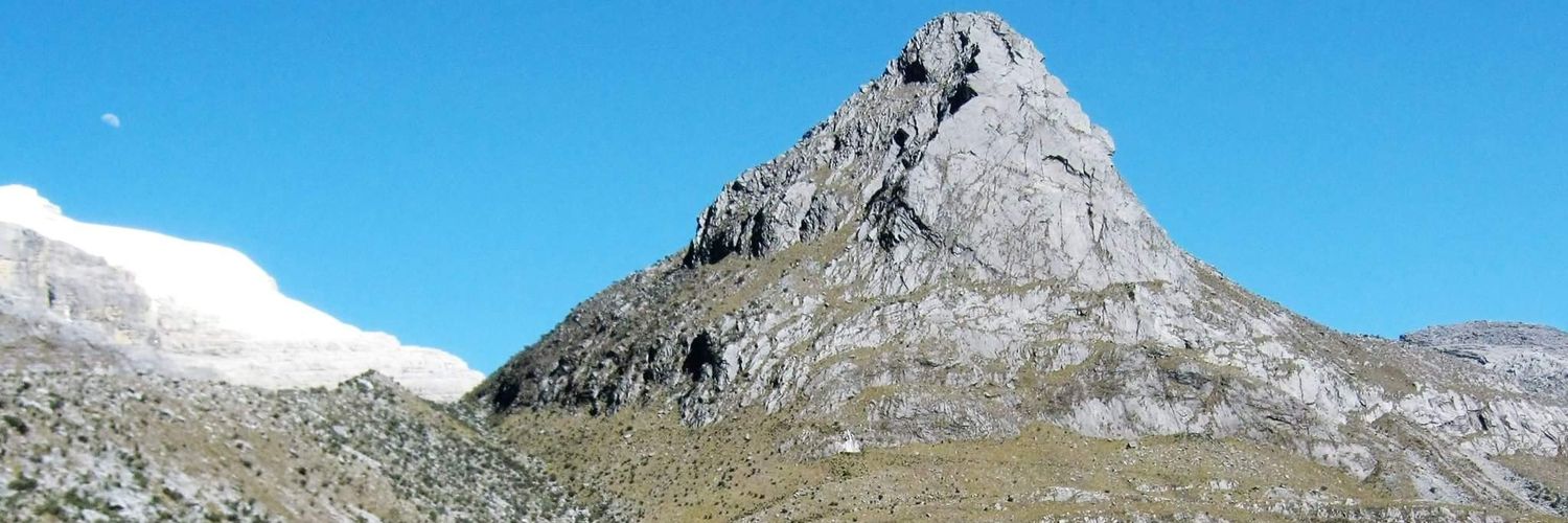 walterhelmuth's profile banner image