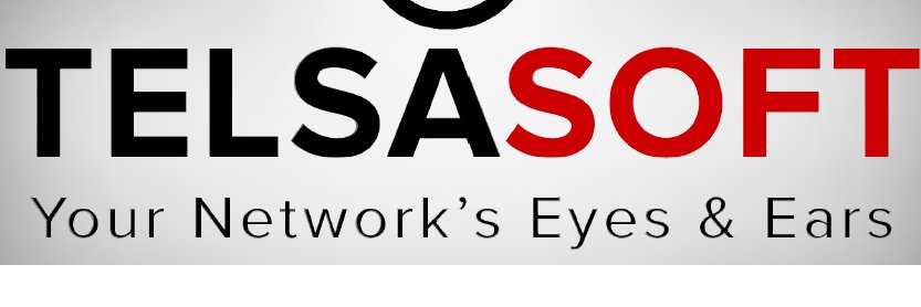 Telsasoft banner