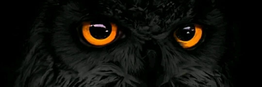 akees151's profile banner image