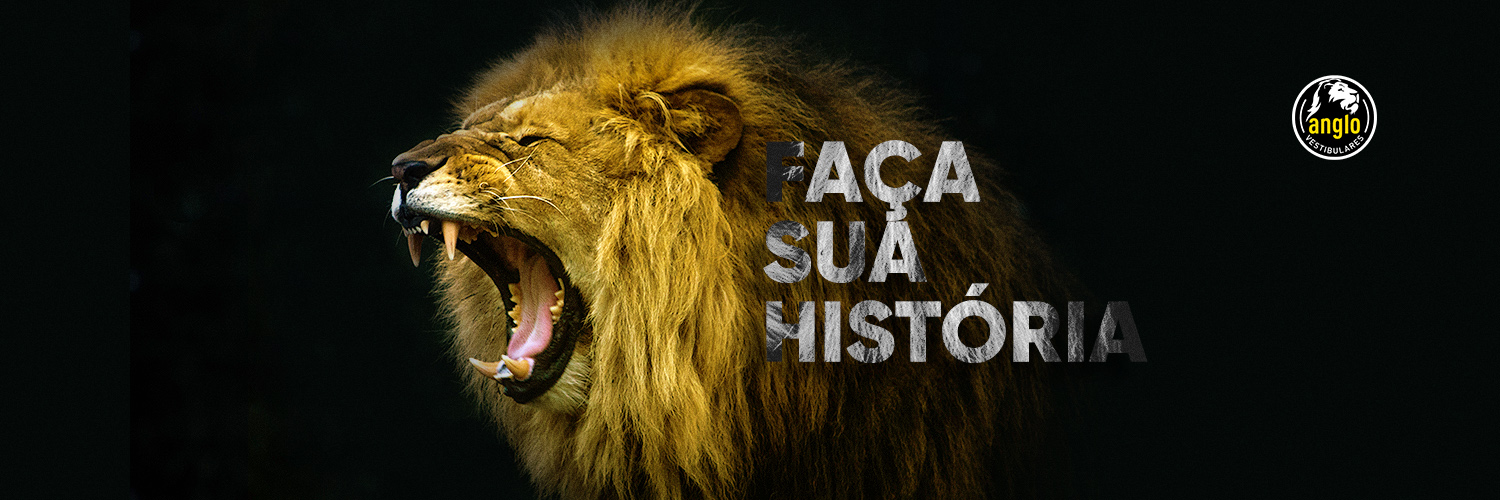 Anglo Vestibulares banner