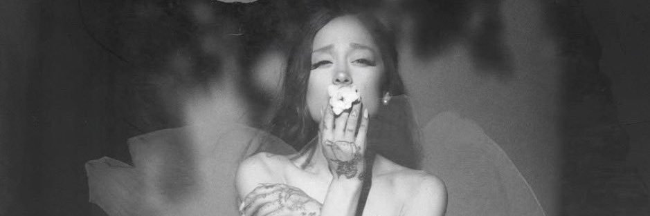 kim ꕤ banner