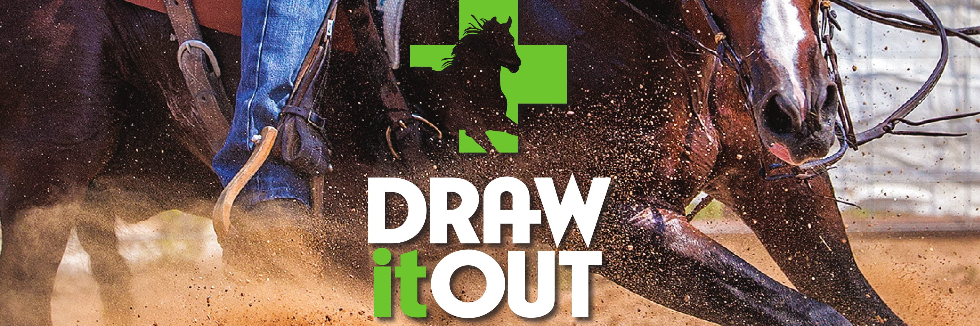 Draw It Out Horse Health Care Solutions banner