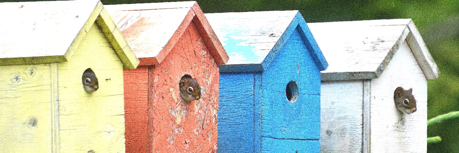 Sharon Montgomery-Dupe banner