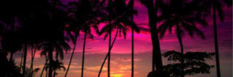 beavg_'s profile banner image