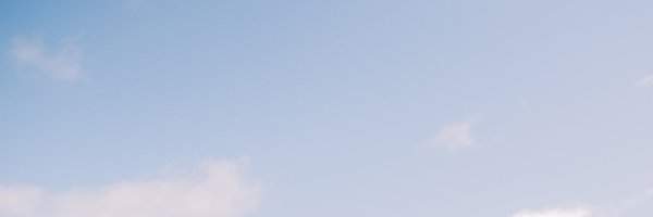 sofroniewn Profile Banner