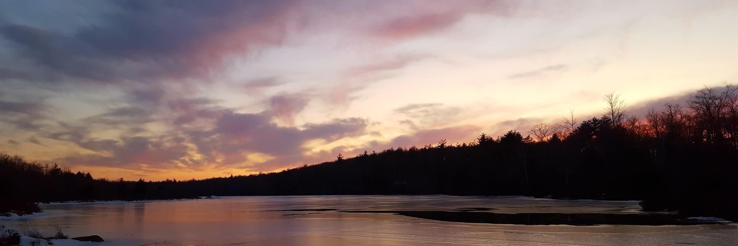 rewildr's profile banner image