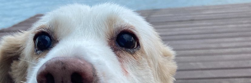 agacemb_'s profile banner image
