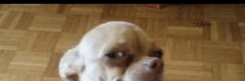 Junyar Moss🇿🇦🤝🏾#44orzaEra🐎 banner