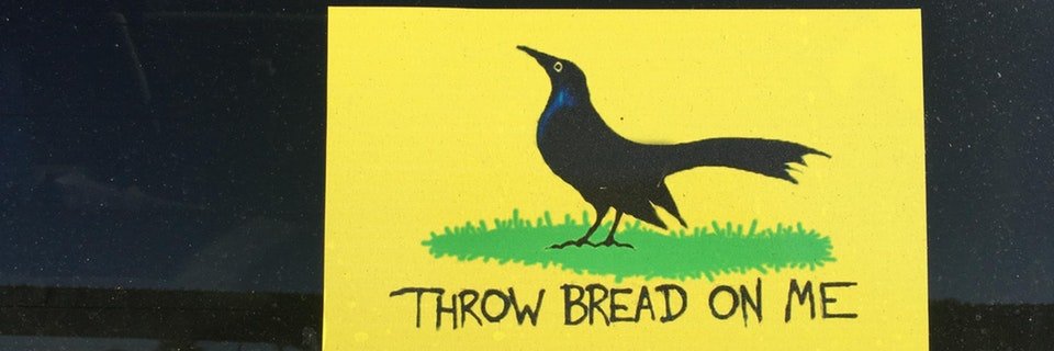 ˜”*°•:*𝕽𝖔𝖘𝖈𝖔 𝕻 𝕮𝖔𝖑𝖉𝖈𝖍𝖆𝖎𝖓*:•°*”˜ banner