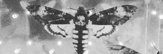 UndeadBurger's profile banner image