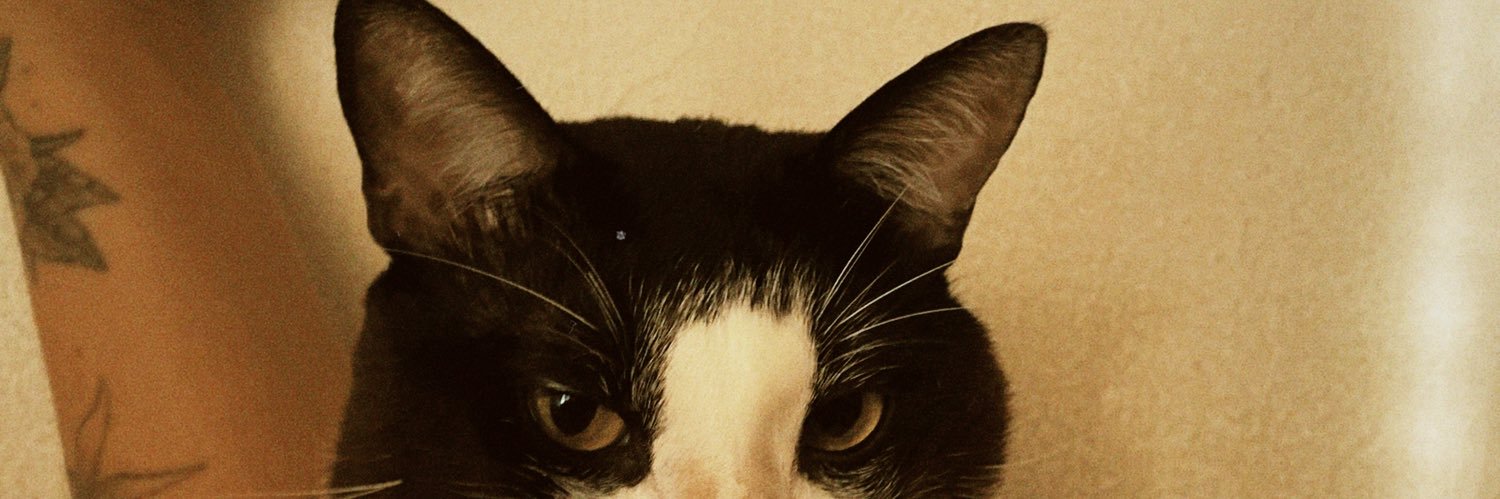 moraessbela's profile banner image