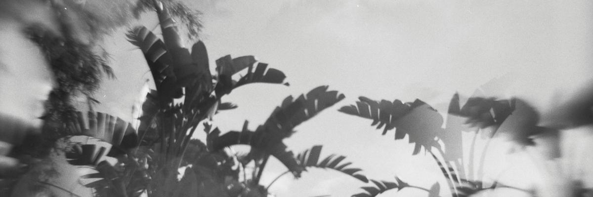 moerkrum's profile banner image