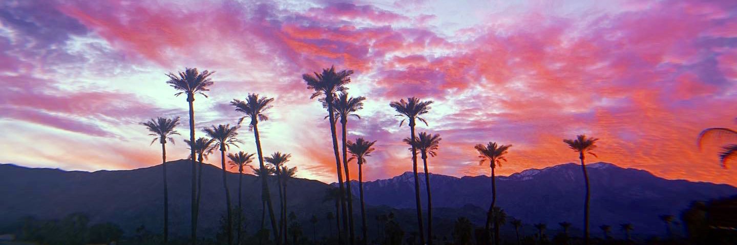 AlessiaPanetta's profile banner image