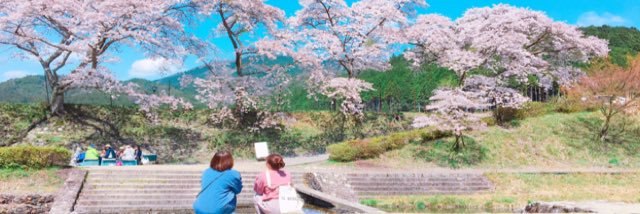 n1_oh's profile banner image