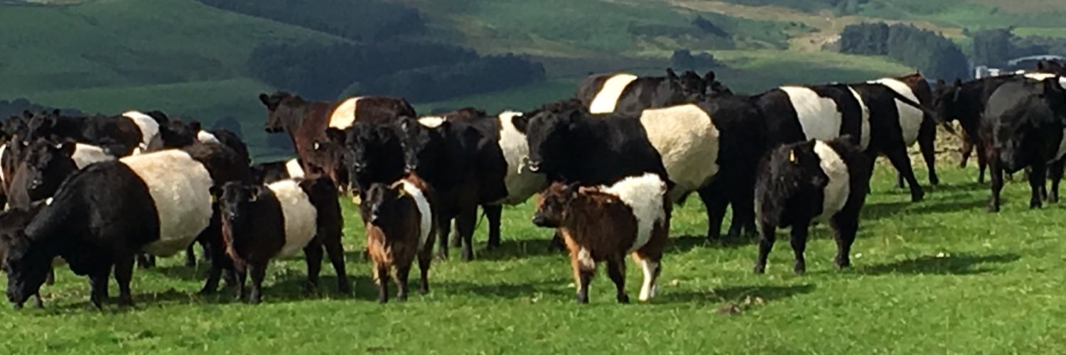 Jilly Fotheringham 🏴󠁧󠁢󠁳󠁣󠁴󠁿 🇨🇭 banner